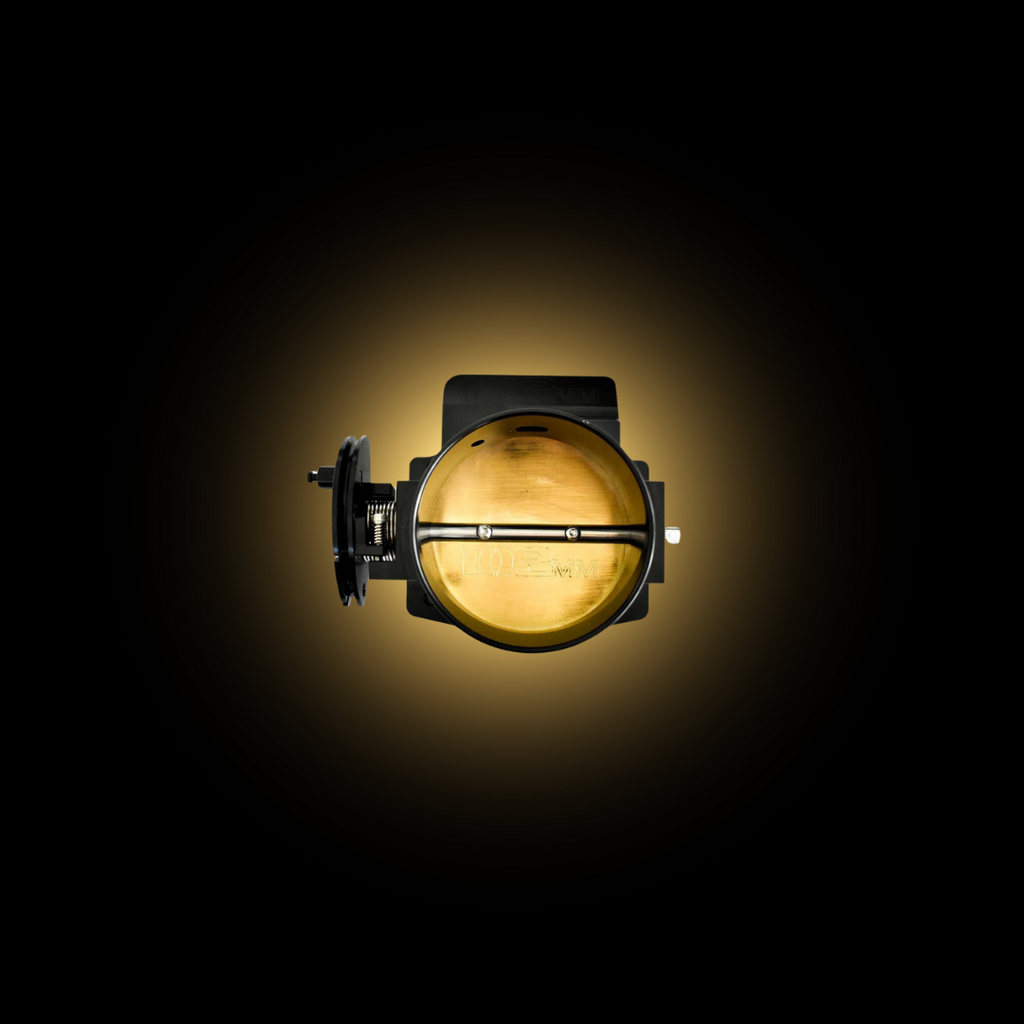 Throttle Bodies